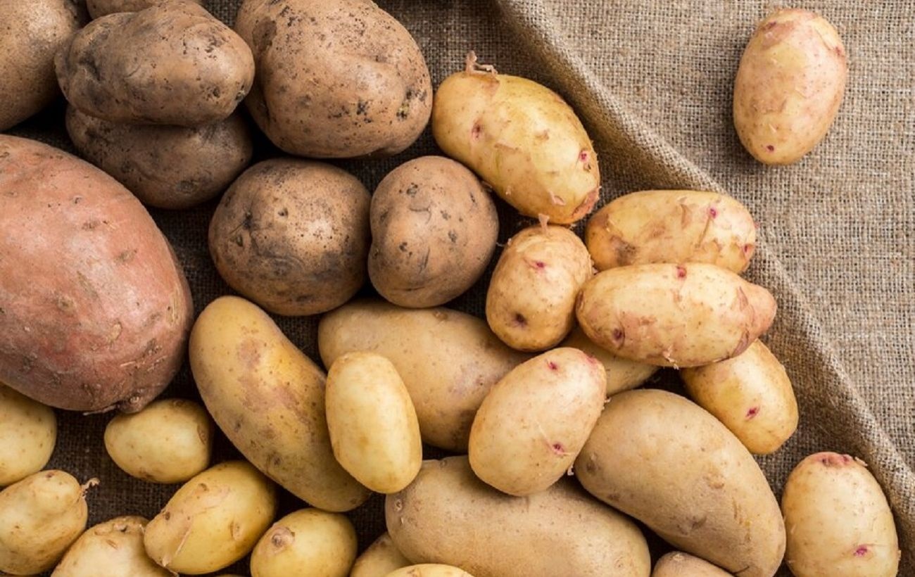 Перед тем как выбрать сорт картофеля, следует определиться, для чего именно планируете использовать урожай. Перед тем как выбрать сорт картофеля, следует определиться, для чего именно планируете использовать урожай.