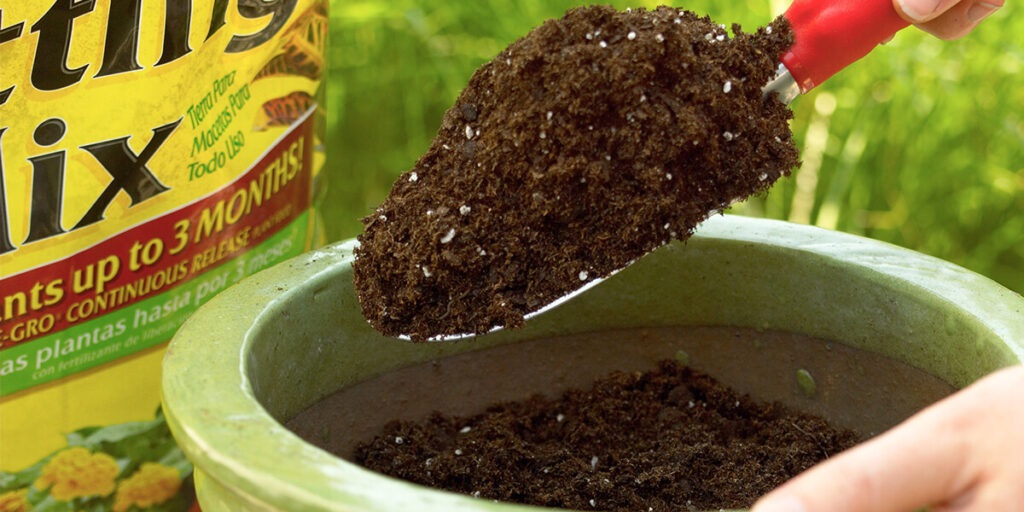 Если нет времени на приготовление смеси, всегда можно выбрать готовый субстрат.