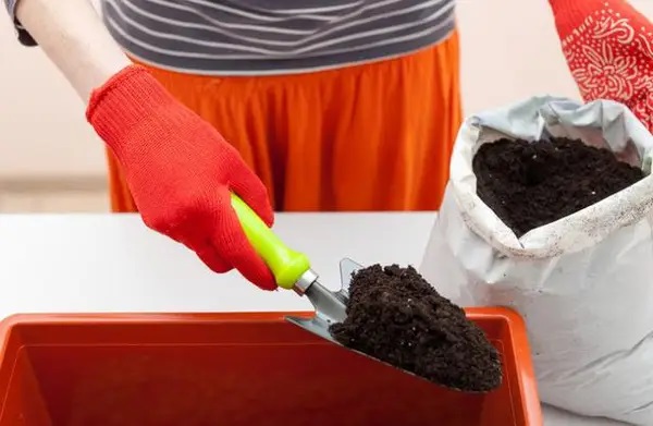 Чтобы приготовить почву самостоятельно, нужно еще осенью собрать землю и подготовить другие компоненты.