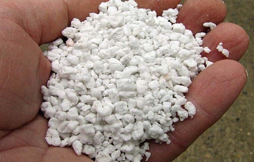 Агроперлит – популярная минеральная добавка.