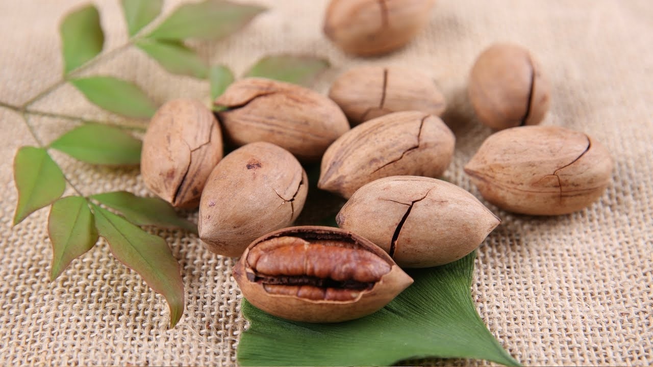 Пекан нужно поливать, регулярно удобрять и возделывать от болезней.