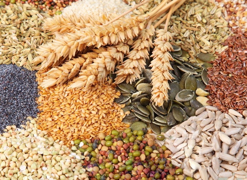 У настоящих хозяев дома всегда много семян. У настоящих хозяев дома всегда много семян.