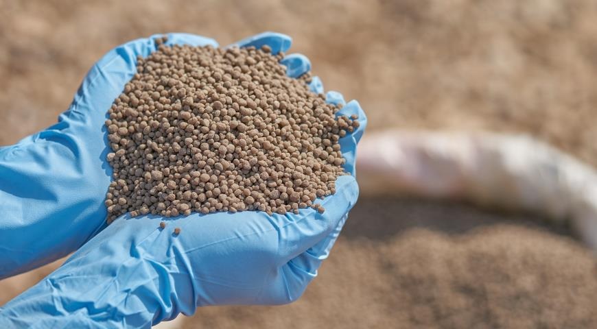 Суперфосфат – это один из самых известных фосфорных препаратов.