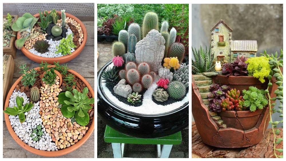 Защита растений от домашних животных — задача, требующая творческого подхода и проверенных решений.