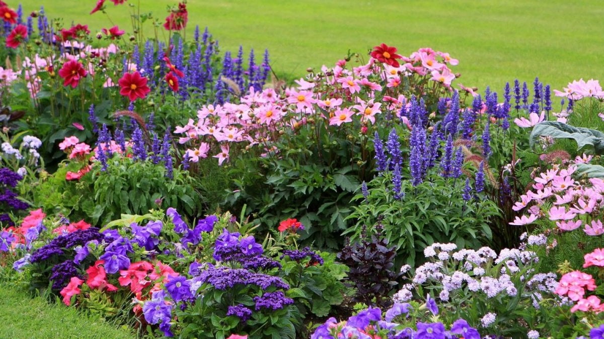 Чтобы клумба выглядела привлекательно и радовала цветения в течение сезона, при ее закладке нужно учесть несколько важных факторов.