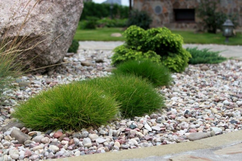 Декоративные камни обеспечивают аккуратный вид и длительный эффект.