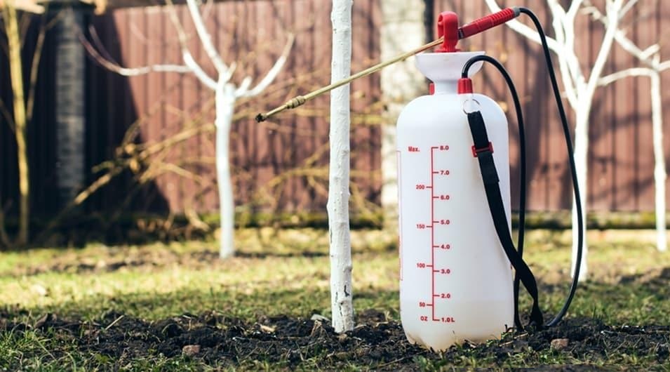 Для обработки сада необходимо использовать только безопасные для растений и человека средства защиты от болезней и вредителей.