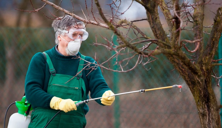Важно соблюдать меры безопасности при применении железного купороса.