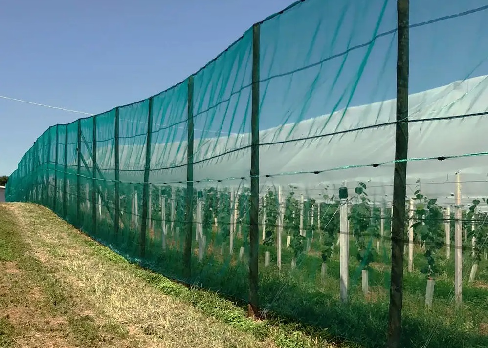 Самой простой конструкцией, которая сможет оградить ваш сад или огород от ветра, является обычный забор.