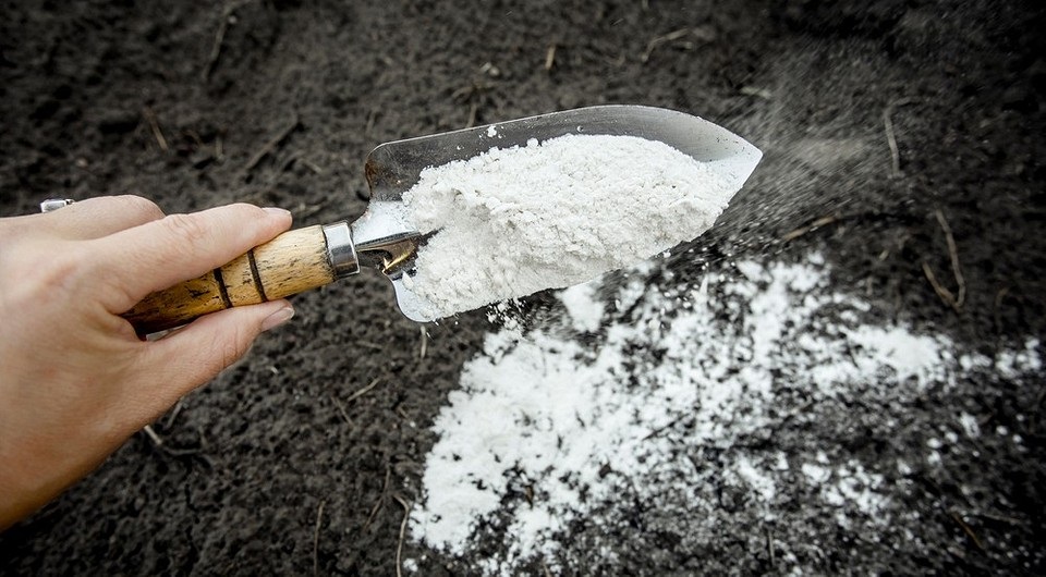 Доломітове борошно — це подрібнена гірська порода, яка складається переважно з карбонатів кальцію та магнію. Доломітове борошно — це подрібнена гірська порода, яка складається переважно з карбонатів кальцію та магнію.