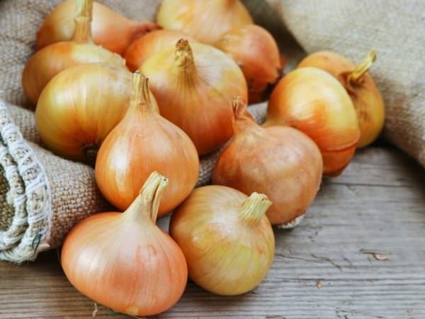 Для хранения сеянки есть два основных метода: теплый и холодный. Для хранения сеянки есть два основных метода: теплый и холодный.