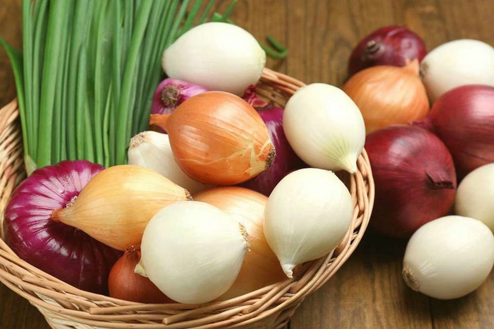 Многие хозяева самостоятельно занимаются выращиванием сеянки для последующей посадки. Многие хозяева самостоятельно занимаются выращиванием сеянки для последующей посадки.