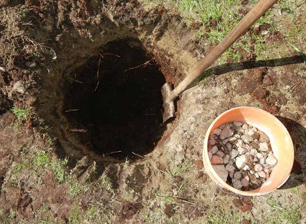 Подготовка посадочной ямы Подготовка посадочной ямы
