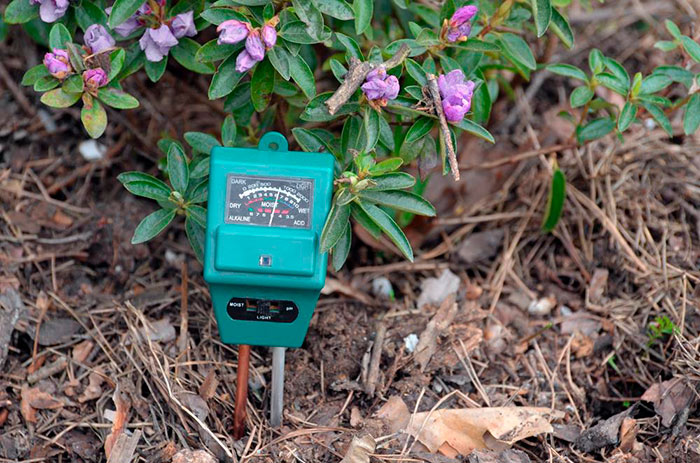 Визначення кислотності спеціальним приладом