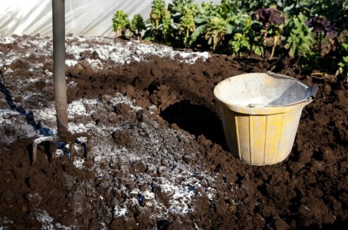 Підтримка кислотності грунту