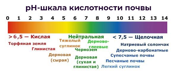Шкала кислотності грунту