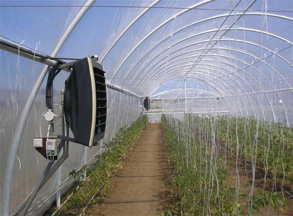 Опалення зимової теплиці