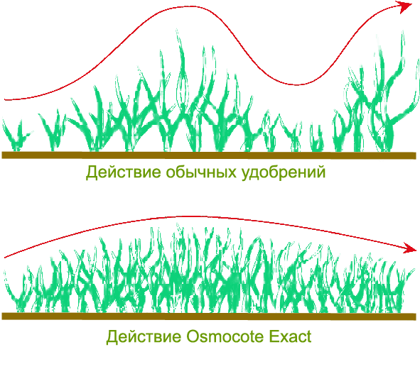 принцип действия удобрения Осмокот (Osmocote)
