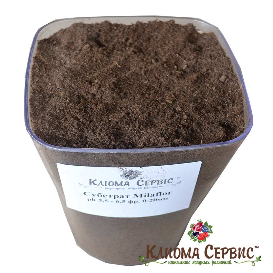 субстрат для выращивания орхидей